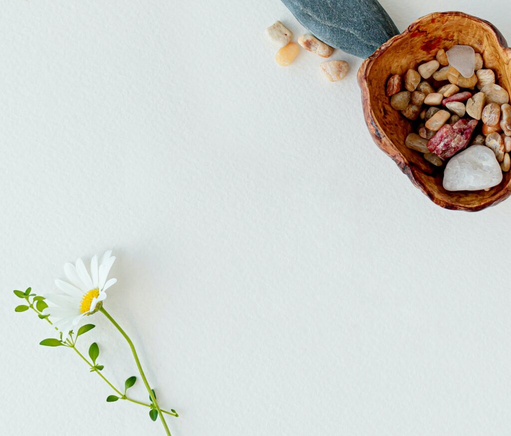 White background with small bowl of stones and one daisy and piece of greenery