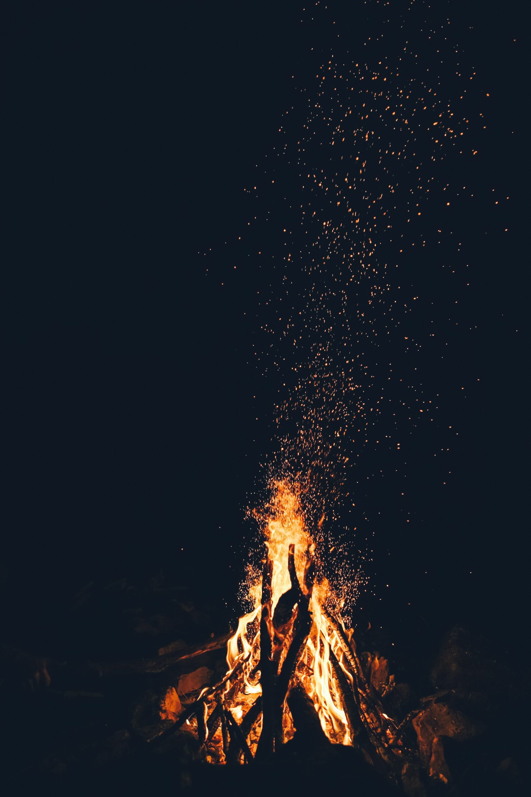 Campfire at night